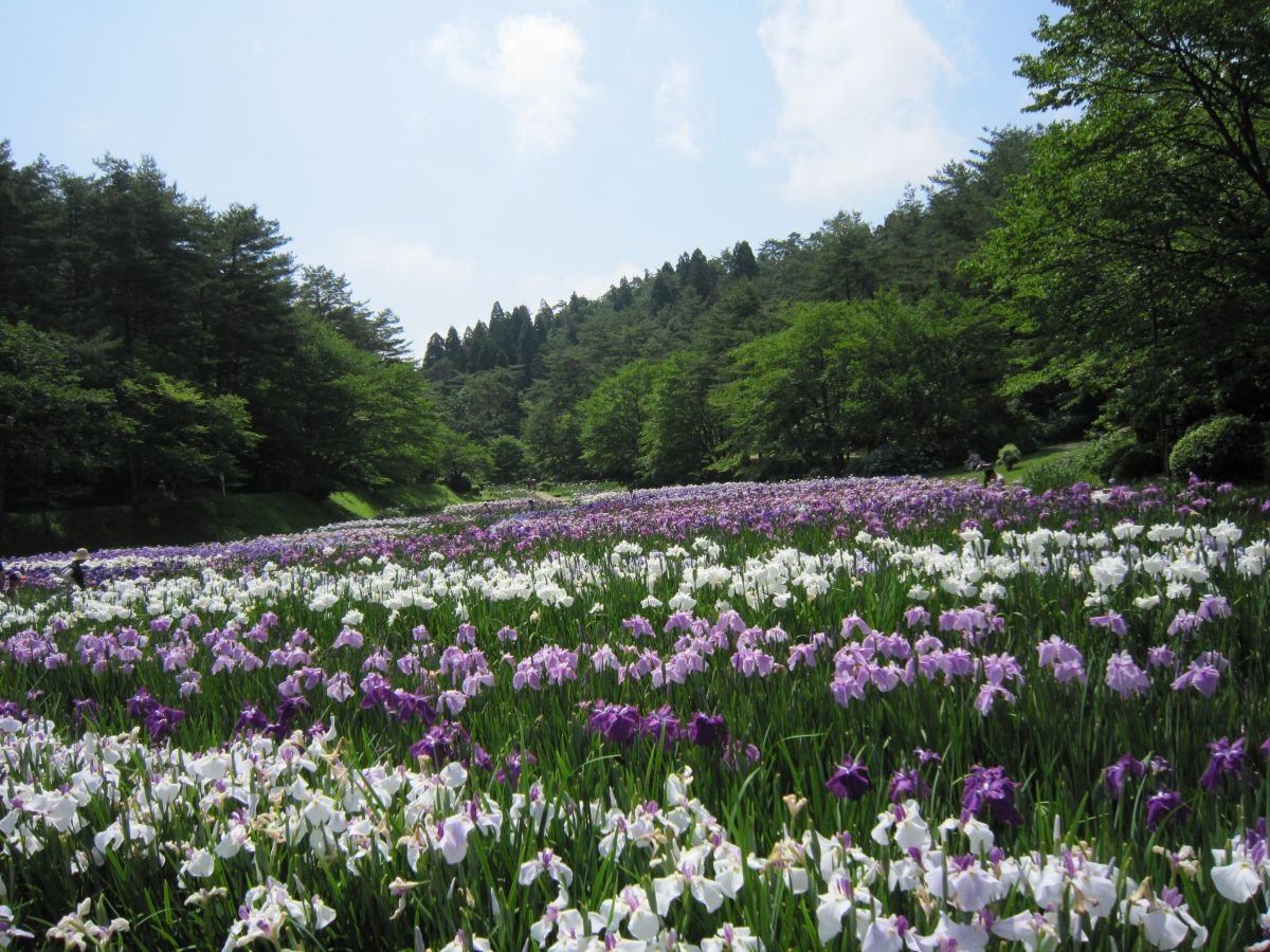 🏞️ 이지미노 공원 (이지미노코엔)